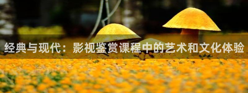 伊人久久影院看：经典与现代：影视鉴赏课程中的艺术和文化体验