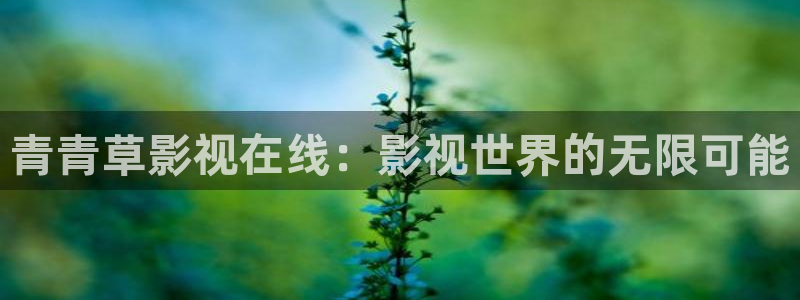 伊人影视成人：青青草影视在线：影视世界的无限可能
