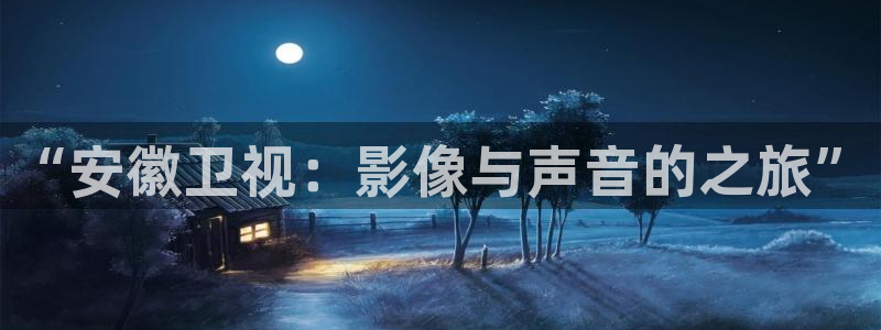 伊人久久影院：“安徽卫视：影像与声音的之旅”