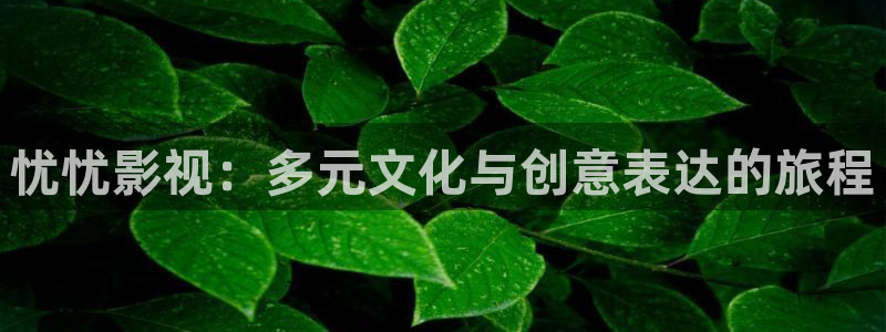 伊人电影院谷姐网：忧忧影视：多元文化与创意表达的旅程