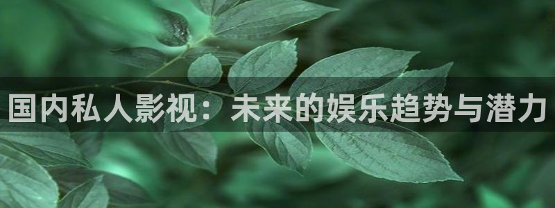 伊人影院综合在线视频：国内私人影视：未来的娱乐趋势与潜力