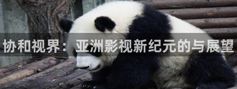 久久久伊人影院：协和视界：亚洲影视新纪元的与展望