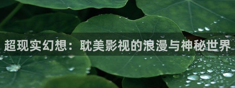 伊人手机综合在线影院：超现实幻想：耽美影视的浪漫与神秘世界